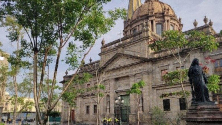 Concluyen "Museo de árboles" en Plaza de Armas