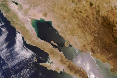 Intenta México que EU reabra la frontera tras vacunación en BC