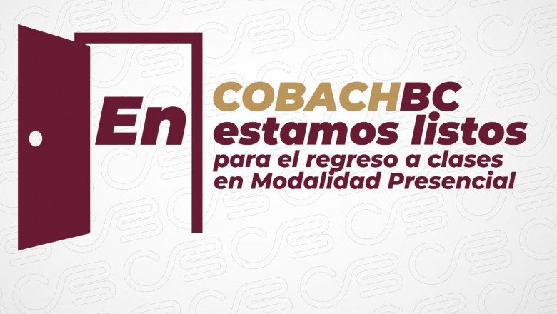 Regresan estudiantes del Cobach BC el próximo 8 de febrero