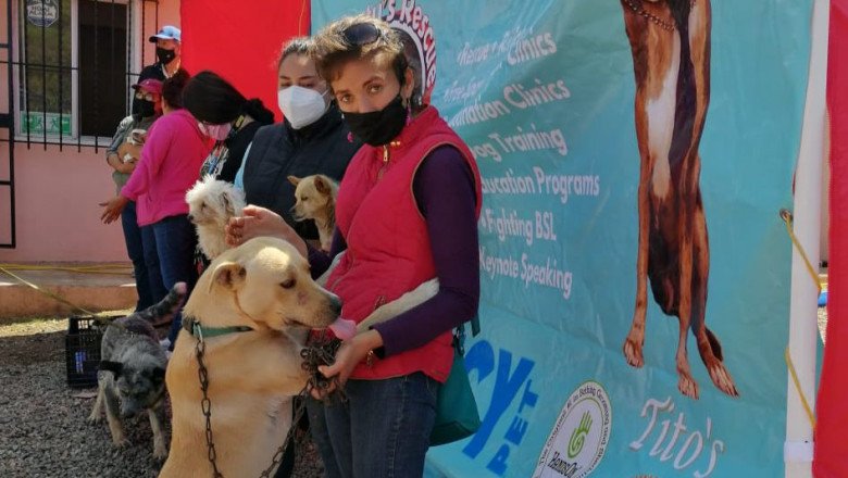 Esterilizaron 44 perros y gatos durante jornara realizada en La Misión