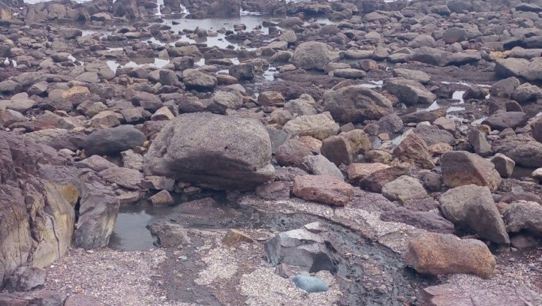 Atiende Ecología y Medio Ambiente reporte de descarga de aguas negras al mar