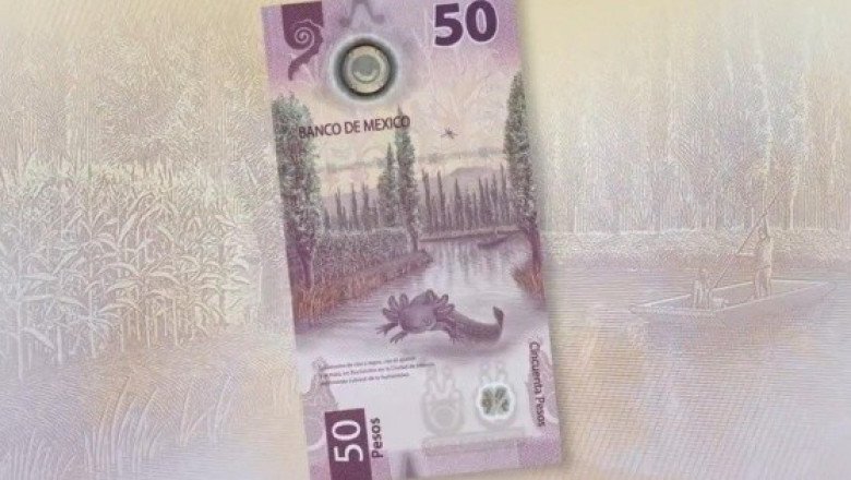 Adiós a la cobija del tigre, mexicanos se tapan ahora con la del ajolote