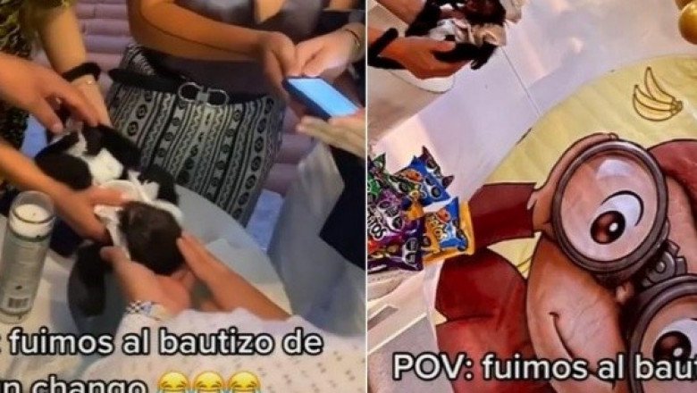 ¡Qué monada! Con todo y trajecito "bautizan" a changuito; fiesta se viraliza
