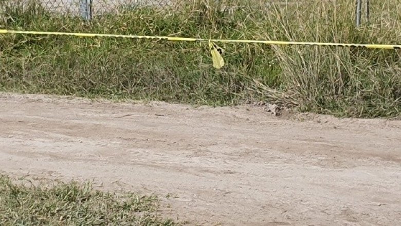 Suman 14 cuerpos hallados en fosa clandestina de Villamar, Michoacán