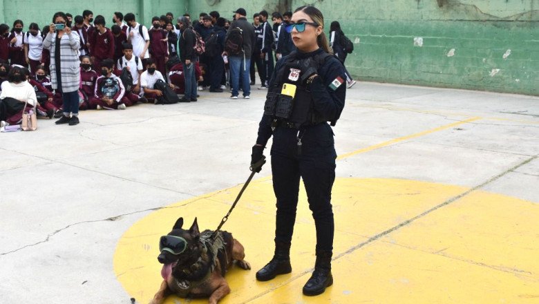 Realiza FESC exhibición de K9 a estudiantes