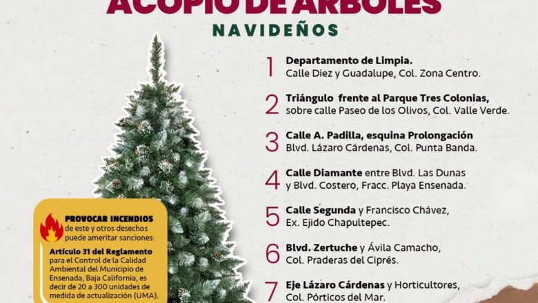 Conoce los punto de acopio de arbolitos de navidad