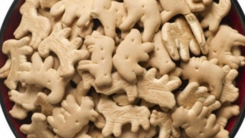 ¡Hasta las de animalitos! Galletas que tienen información poco veraz, según Profeco