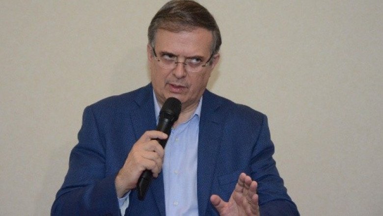 Ebrard lamenta muerte del perrito rescatista Proteo en Turquía