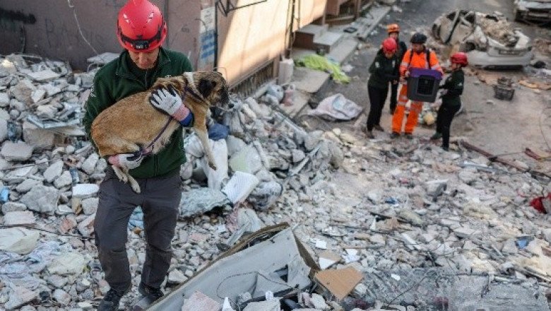 Búsqueda de supervivientes en Turquía, a punto de cerrar; hay más de 41 mil muertos
