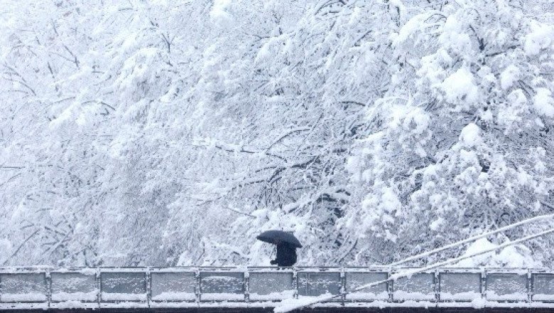 Croacia, Serbia y Bosnia, en caos por fuerte tormenta de nieve