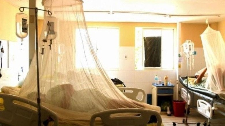El brote de dengue que ha dejado muertos y miles de casos en Latinoamérica