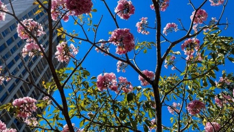 ¿Cuándo inicia la primavera en México?