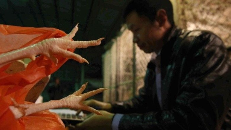 ¡Otro caso de gripe aviar H3N8! China detecta el contagio de una mujer