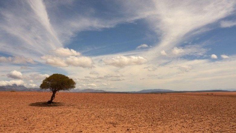 Llega “El Niño” y con calor extremo, pero ¿cuándo?