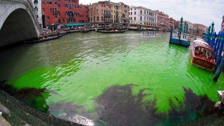 Agua de Venecia amanece verde fosforescente, ¿protesta o contaminación?