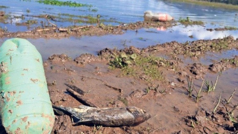 La Tierra está en peligro, un estudio lo afirma