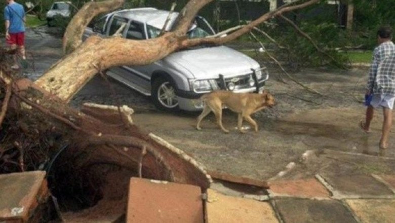 Ciclón deja al menos 11 muertos y 15 desaparecidos en Brasil
