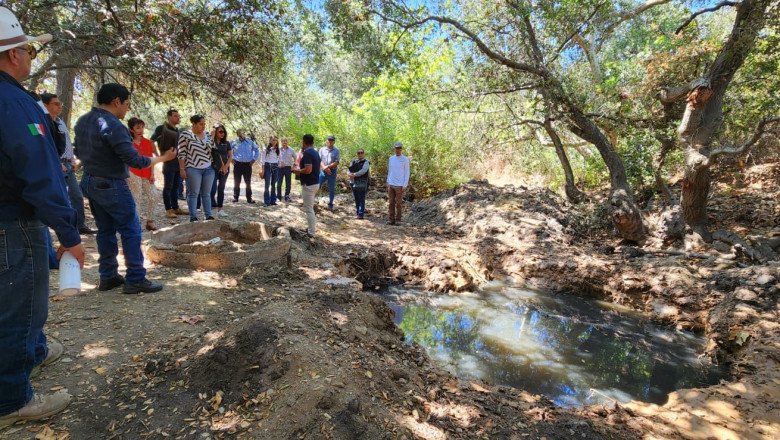 Recorre Comité Playas Limpias cauce del arroyo Cañón Doña Petra