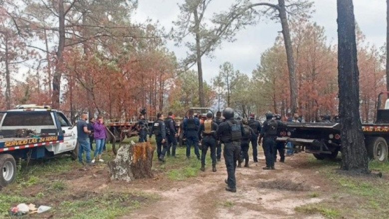 Enfrentamientos entre cárteles en Michoacán dejan cuatro fallecidos