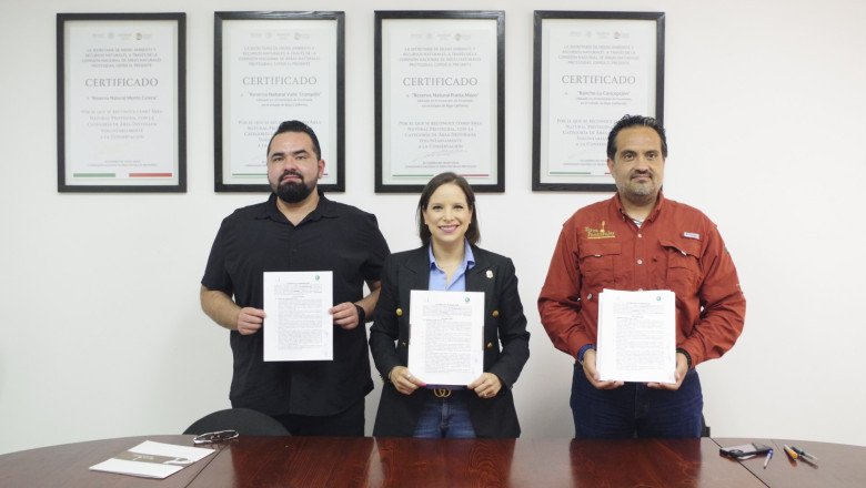 Reutilizarán conchas de ostión para crear bioplásticos