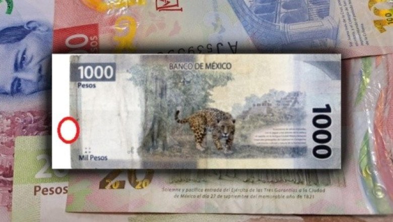 ¿A tu billete le falta un pedazo? Aún vale si tiene este tamaño (FOTOS)
