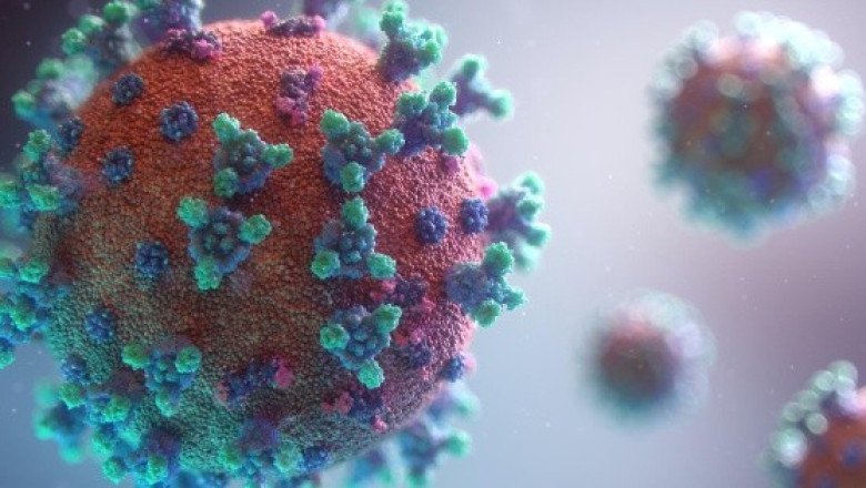 La OMS alerta sobre un brote de ántrax originado en Zambia
