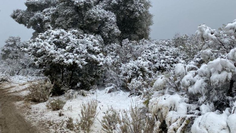 Frente frío 26 traerá fuertes vientos y caída de nieve en sierras