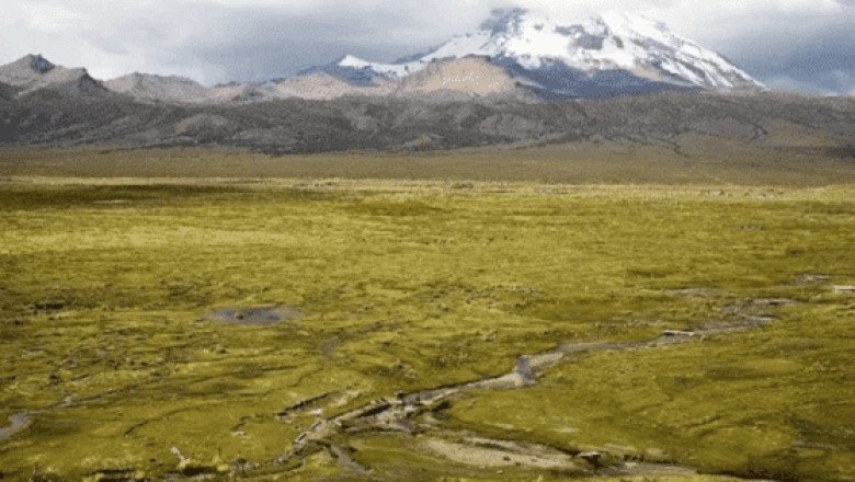 Cambio climático, incendios y minería deterioran los humedales en Bolivia