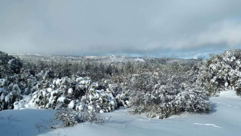 Exhorta Protección Civil a no visitar las sierras