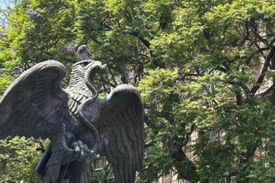 ¿En dónde está el oro?