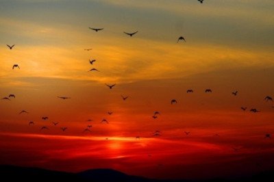 ¿Qué fue el Evento Carrington? La imponente tormenta solar de 1859