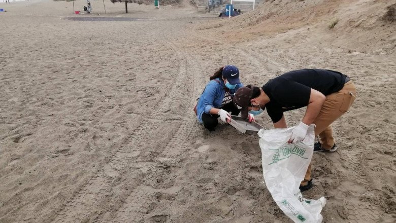Invitan a Jornada “Ensenada en Armonía con el Mar” en Playa Stacks
