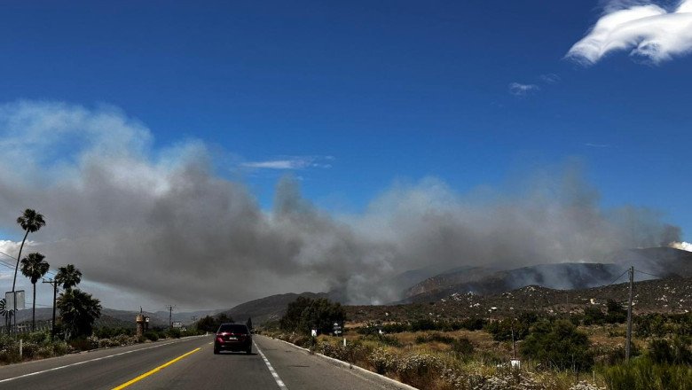 Alrededor de 800 hectáreas de chaparral y pastizal consumidas por el fuego