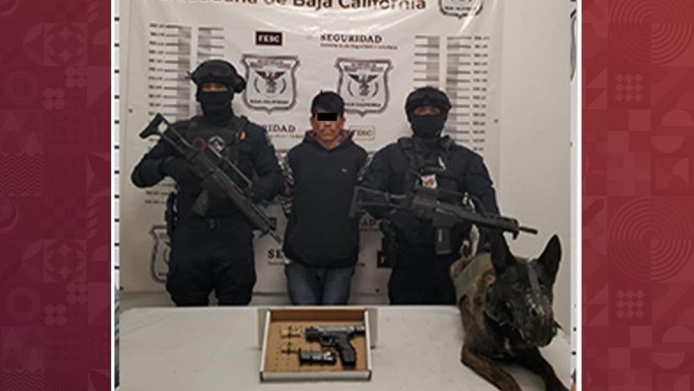Detienen FESC y SEDENA a presunto homicida en San Quintín