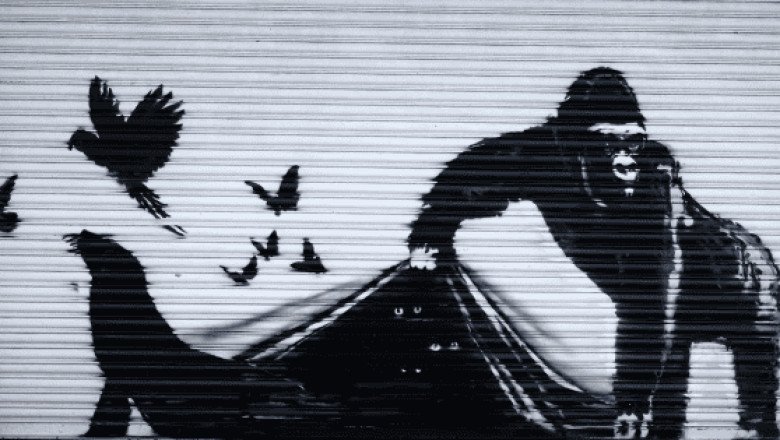 Banksy libera un gorila en noveno grafiti sobre animales