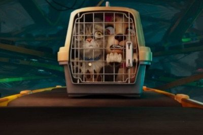 La recomendación de hoy en la cartelera de cine es “Mascotas en apuros”