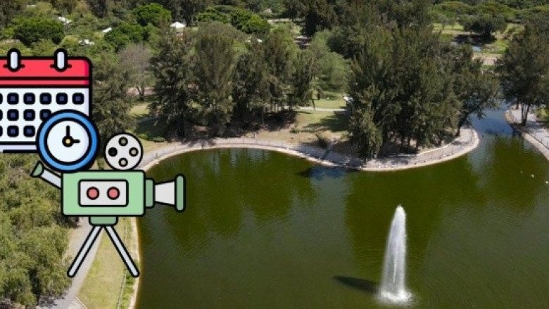 Cine al aire libre en Guadalajara: Cartelera del 29 de agosto al 1 de septiembre