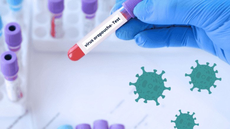 Virus Oropouche: Todo lo que necesitas saber la enfermedad también conocida como 'fiebre del perezoso'