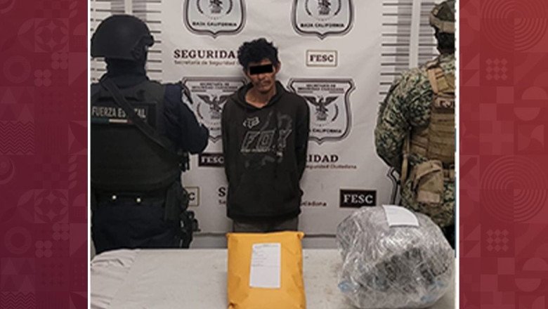 Detienen a hombre en poder de casi tres kilos de marihuana