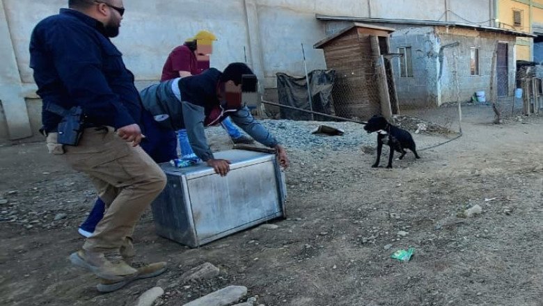 Vinculan a sujeto por usar a su perro para atacar a un hombre