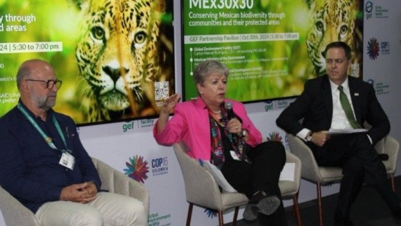 Esta será la estrategia de la Semarnat para proteger a defensores ambientales