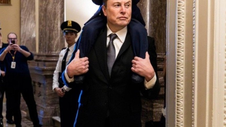 Elon Musk es acusado de presunto intento de injerencia en elecciones en Alemania