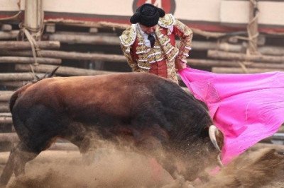 Gran expectación por la Corrida de Triunfadores en la Plaza Nuevo Progreso