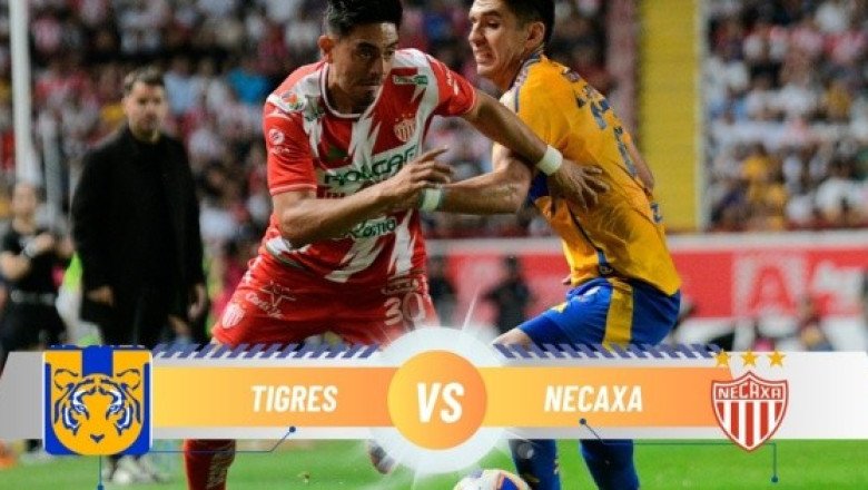 ¿Dónde ver EN VIVO el partido Tigres vs Necaxa?
