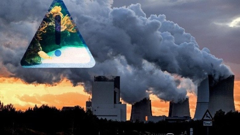 Cambio climático es la tercera causa de pérdida de diversidad en el mundo
