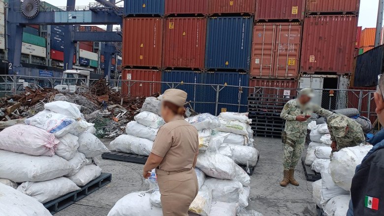 Retienen mas de 2 mil kg de aleta de tiburón en el recinto portuario