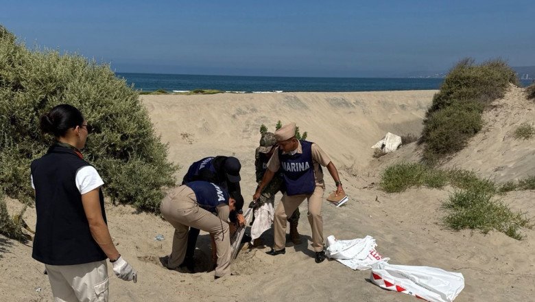 Realiza Secretaría de Marina limpieza de playas en Ensenada