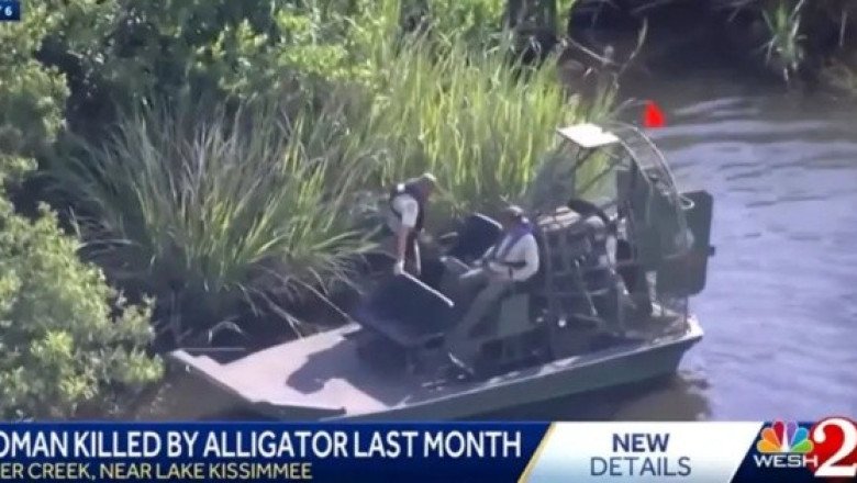 Caimán devora a mujer de 61 años que paseaba con su esposo en canoa