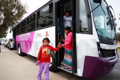 Ahora Transporte Violeta llegará hasta Maneadero