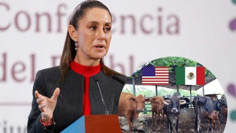 "Exagerada" la decisión de EU de cerrar nuevamente la frontera al ganado: Sheinbaum